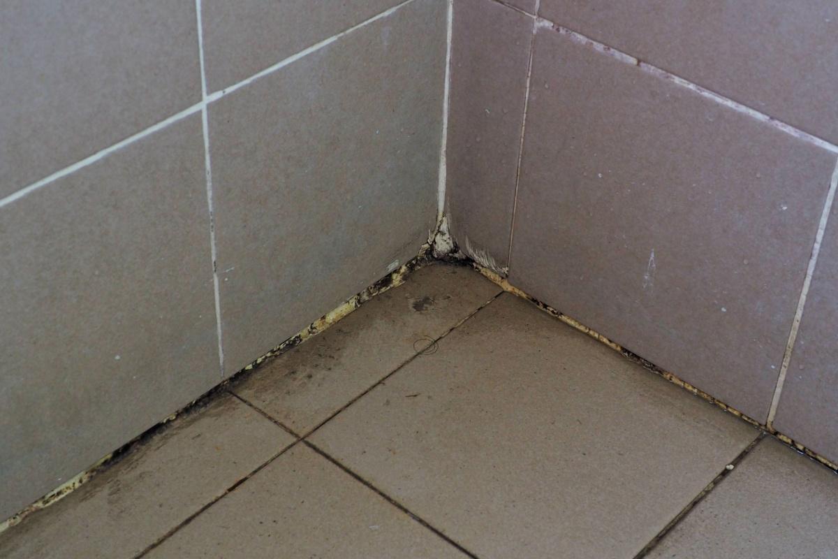 Shower Repair St. Louis | Bathroom Work in St. Louis | A New Look Resurfacing